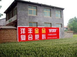 镇江如何让墙体广告展现最大化效果