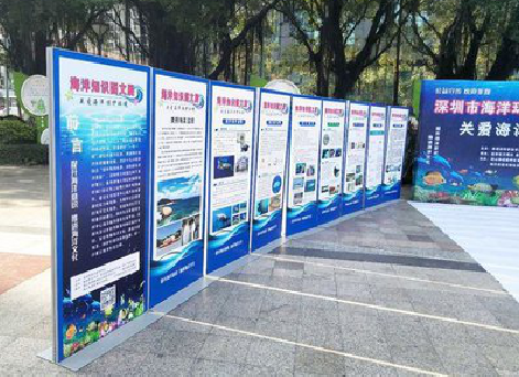 镇江KT板的种类和知识。